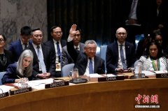 中俄在联合国安理会否决涉霍尔木兹海峡决议草案